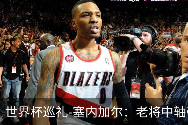 世界杯巡礼-塞内加尔：老将中轴带来安全感，非洲顶流前景可期！